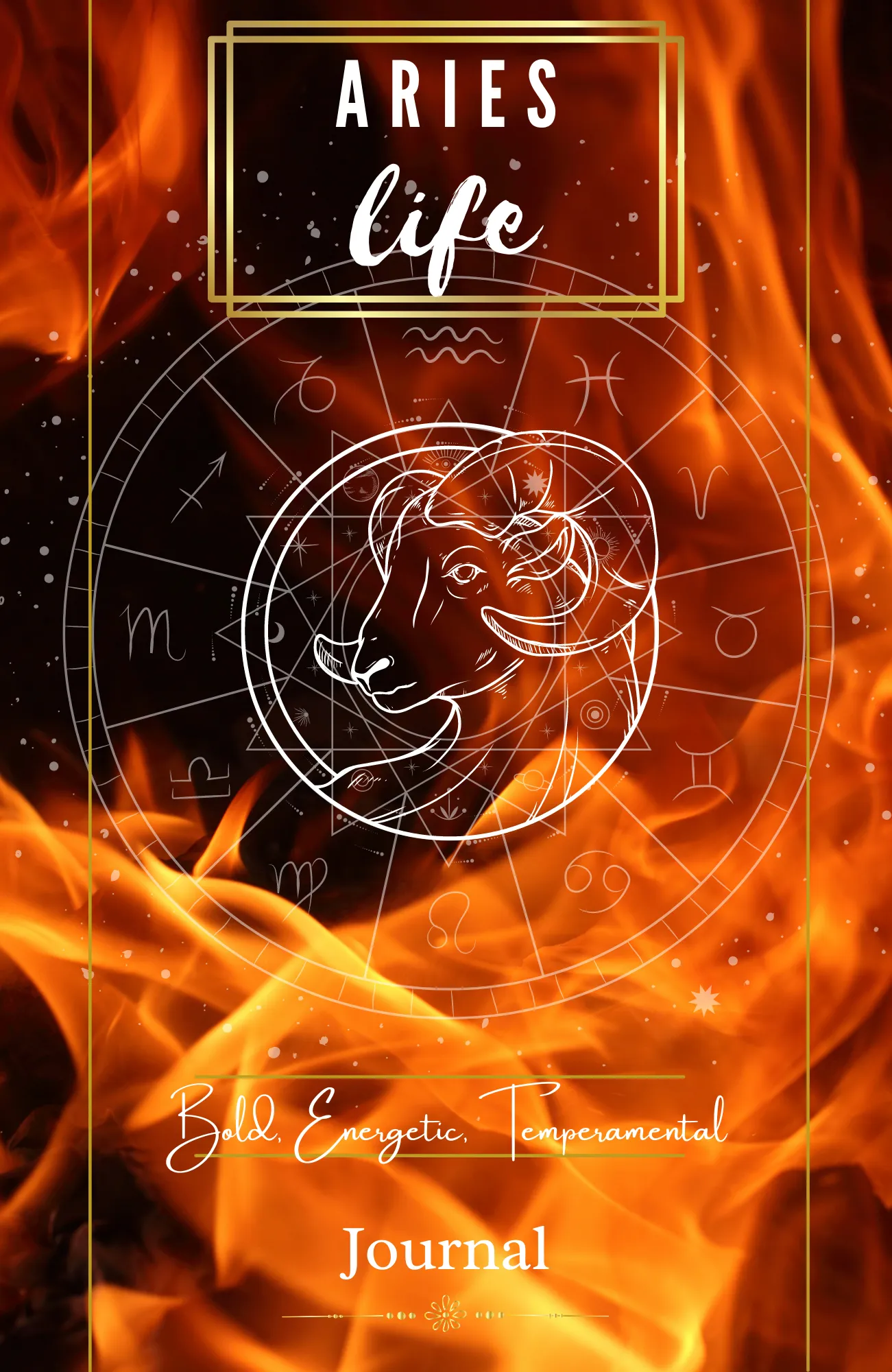 Aries Journal cover